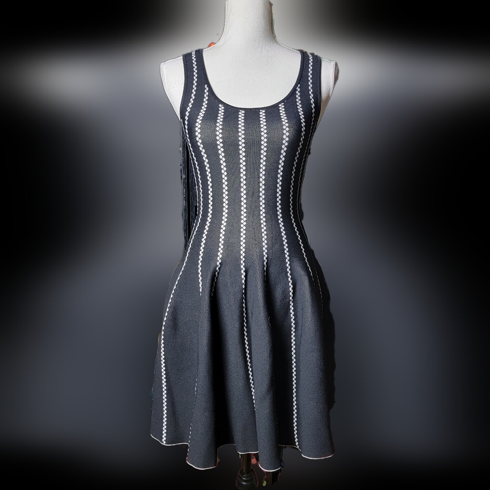 Nordstrom G.I.N. Dress Sleeveless Semi Sheer XS